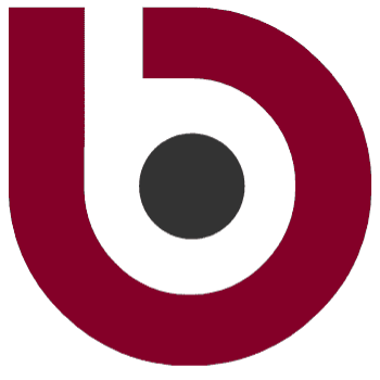 BICE Logo